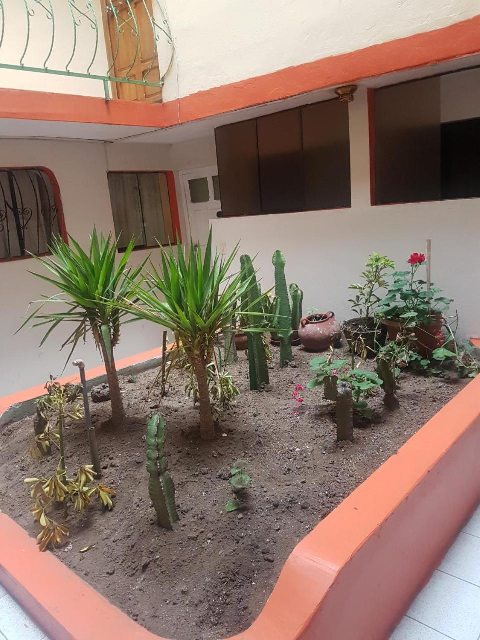 Hotel Manco Capac Puno Extérieur photo